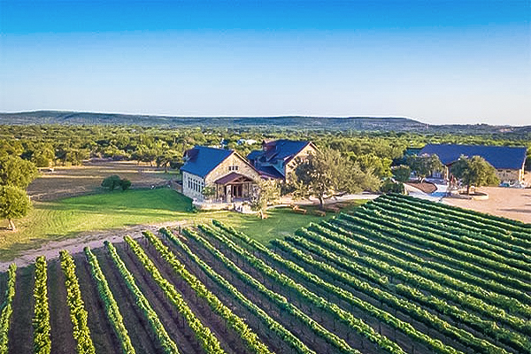 What Makes Hill Country Wine Tours More Enjoyable with a Driver